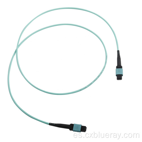 1M OM3/OM4 8/12/24F MPO/MTP Fiber Optic Chatch